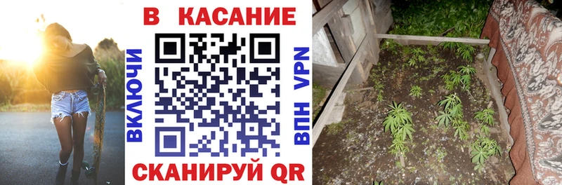 Где найти наркотики Валдай ГАШ  kraken как войти  Амфетамин  Мефедрон  A-PVP  Канабис 