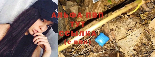 spice Бугульма
